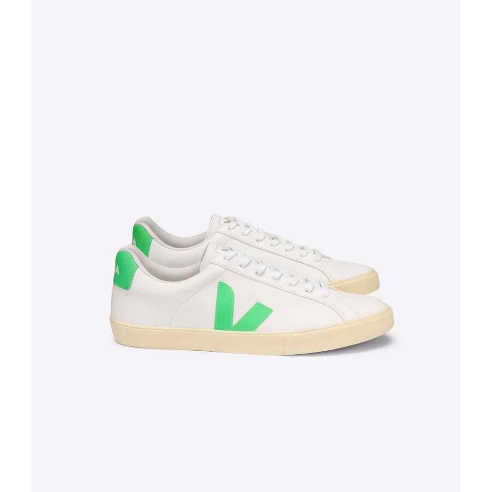 Veja ESPLAR CHROMEFREE BUTTER-SOLE Tenisky Panske Biele | SK 301BEX